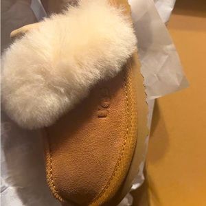 Ugg Slippers